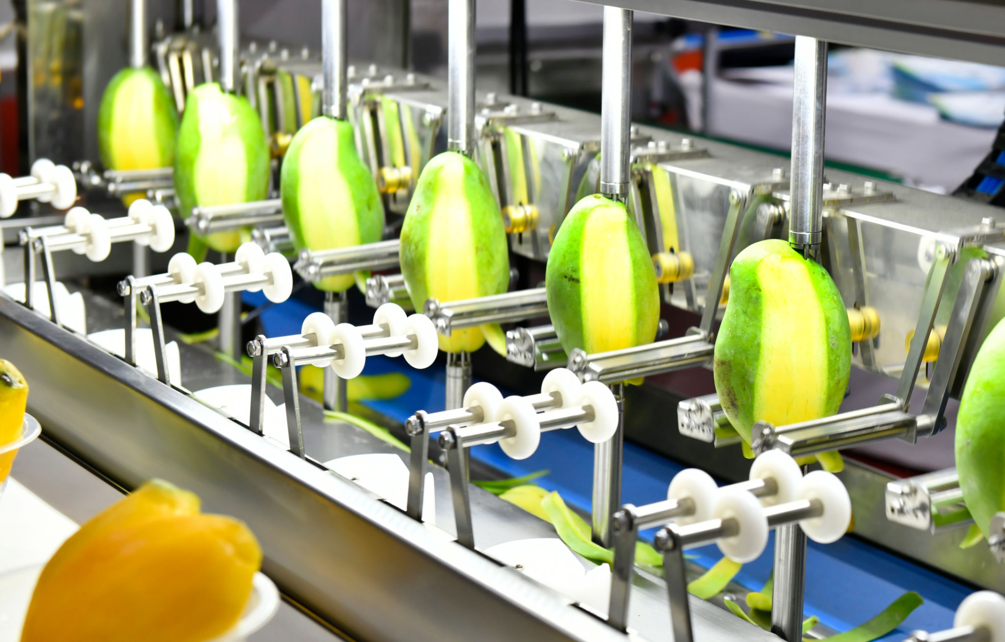 mango processing