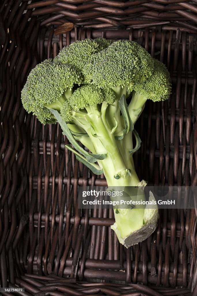 Fresh broccoli in basket, overhead view
