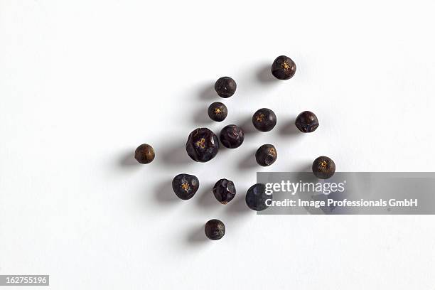 group of juniper berries - wacholderbeeren stock-fotos und bilder