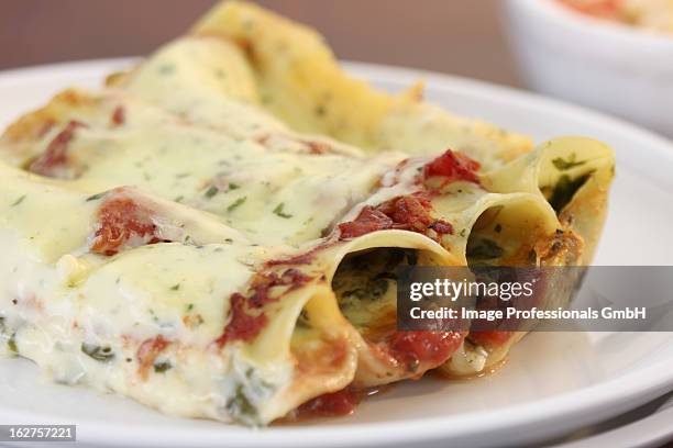 cannelloni with feta and spinach on plate - rolled up stock pictures, royalty-free photos & images