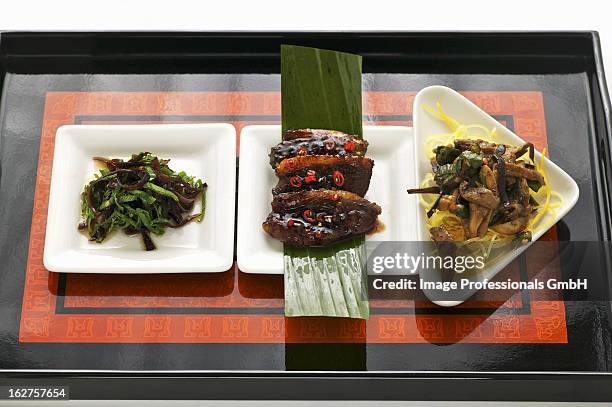 almond duck with oyster mushroom noodles and spring onions - square plate stock pictures, royalty-free photos & images