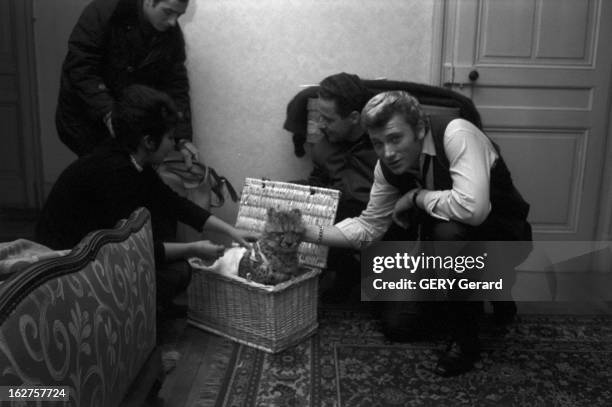 Johnny Hallyday And His Panthere. 23 février 1962, le chanteur Johnny HALLYDAY avec sa panthère. Dans une pièce, Johnny HALLYDAY caresse un bébé...