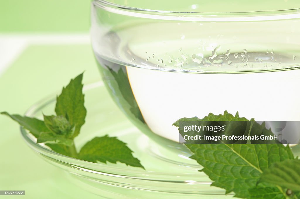 Peppermint tea in glass cup