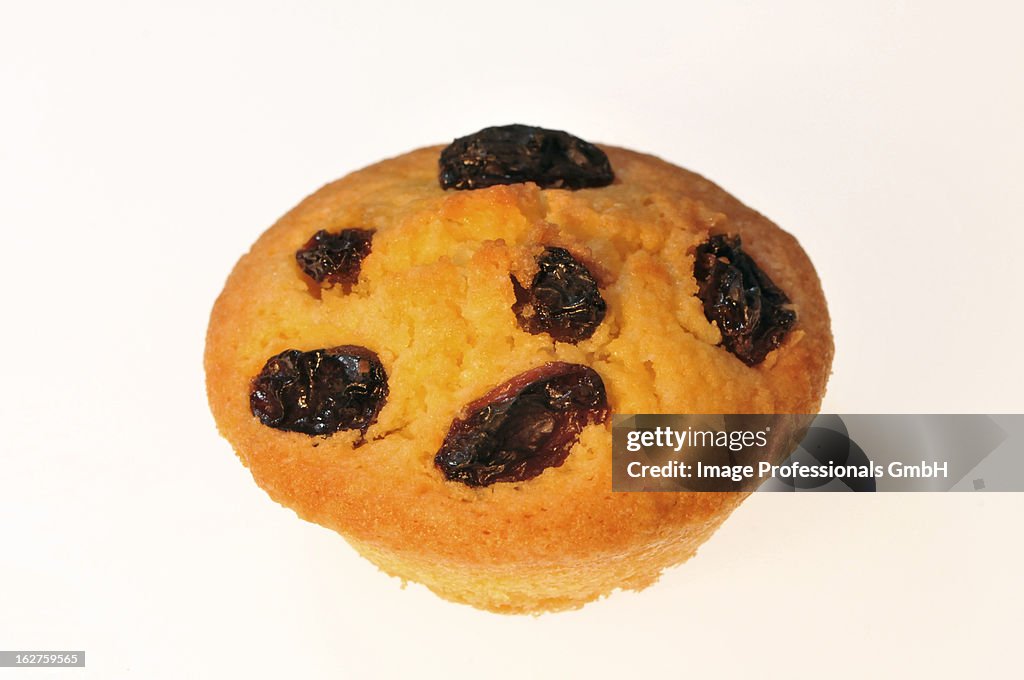 Raisin muffin on white background