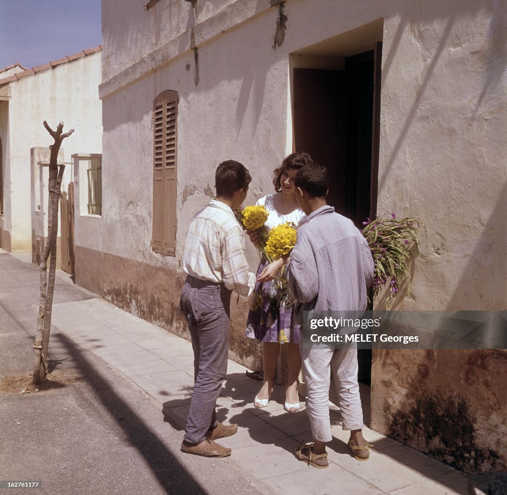 Algiers