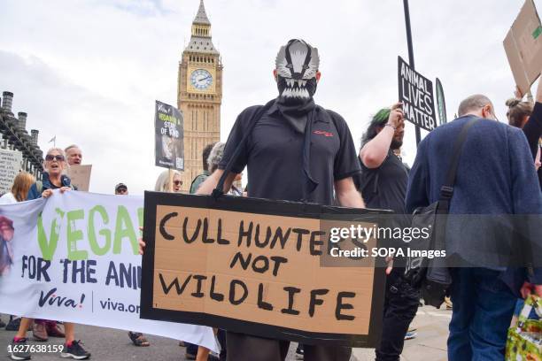 Protester wearing a mask holds an anti-hunting placard during the demonstration in Parliament Square. Crowds marched through central London during...
