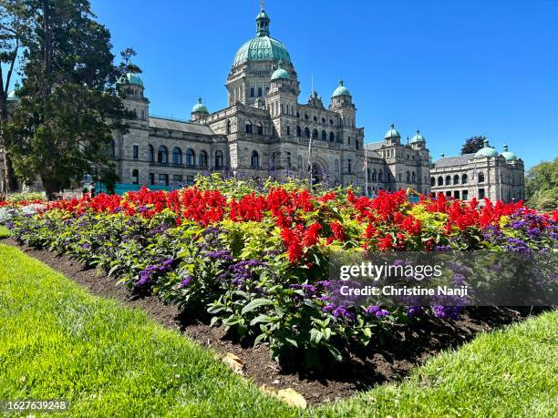 british columbia parliament buildings - victoria canada photos et images de collection