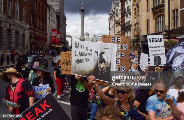 Protester holds an anti-dairy placard during the demonstration in Whitehall. Crowds marched through central London during the National Animal Rights...