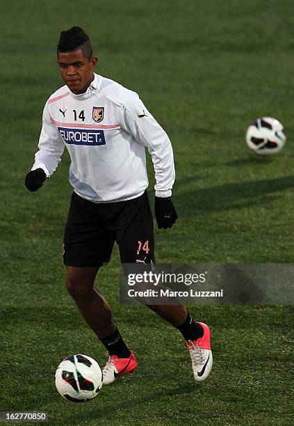 De Moraes Anselmo of US Citta di Palermo in action during a training session on February 26, 2013 in Novara, Italy.