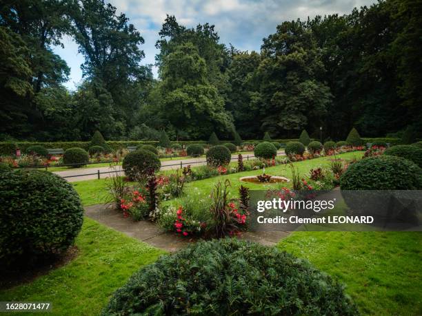 english landscape garden (englischer garten) in the großer (grosser) tiergarten public park, central berlin, germany. - englischer garten stock-fotos und bilder
