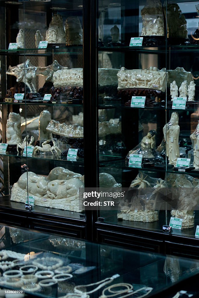 CHINA-ENVIRONMENT-WILDLIFE-CITES-IVORY