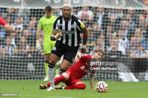 Joelinton of Newcastle United is challenged during the Premier League match between Newcastle United and Liverpool at St. James's Park, Newcastle on...