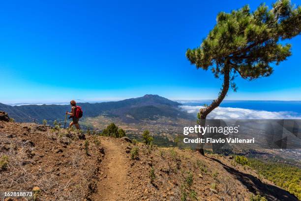 caldera de taburiente national park, la palma - caldera stock pictures, royalty-free photos & images