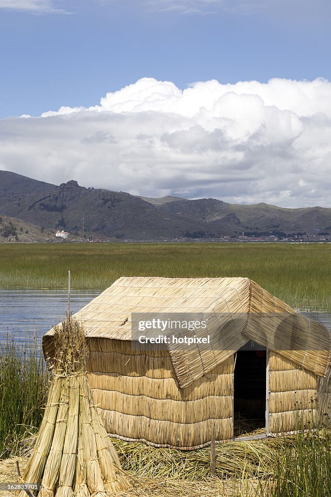 Uros Typical house