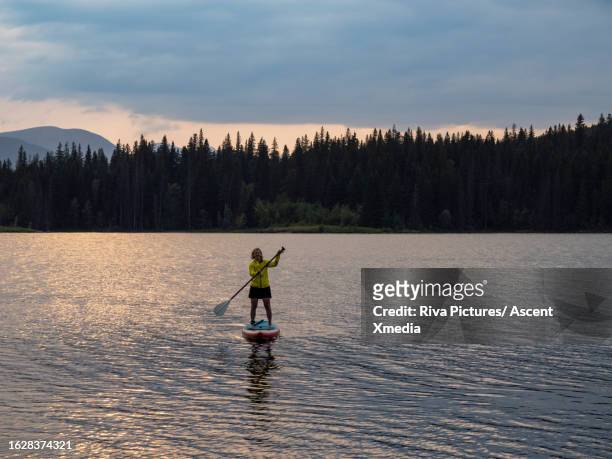 woman paddles  sup board on lake at sunset - floating on water stock pictures, royalty-free photos & images