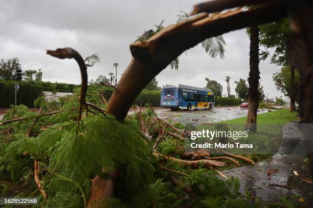 Broken tree limb partially blocks a road as Tropical Storm Hilary moves through the area on August 20, 2023 in Cathedral City, California. Southern...