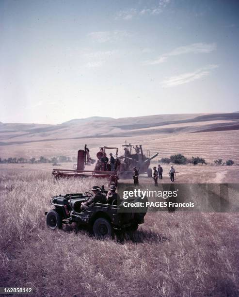 Harvest In Constantine, Algeria. En Algérie, dans le Constantinois, durant la période de la moisson, une jeep avec deux militaires à côté une...