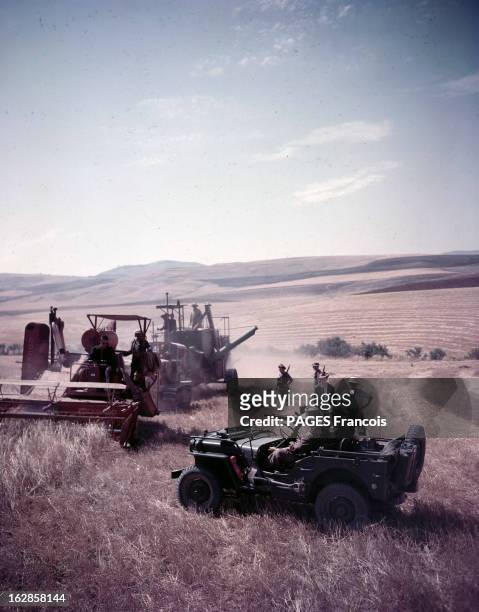 Harvest In Constantine, Algeria. En Algérie, dans le Constantinois, durant la période de la moisson, une jeep avec deux militaires à côté une...
