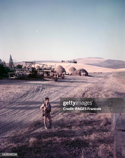 Harvest In Constantine, Algeria. En Algérie, dans le Constantinois, durant la période de la moisson, un soldat gardant un champ, derrière une...