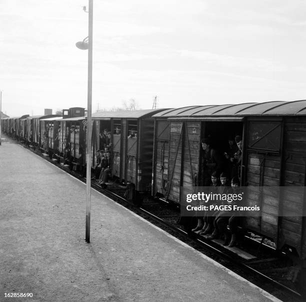 The Adventure Of The Transalgerien. Algérie, le 15 mars 1956. De Rabat à la frontière tunisienne, des hommes gagnent chaque jour la bataille du rail,...