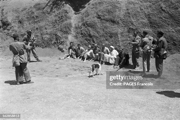 Death Of Senior Officer Cadet Henry Maillot And Operation 'Esperance'. Le 7 juin 1956 en Algérie, la mort de l'anticolonialiste et déserteur Henri...