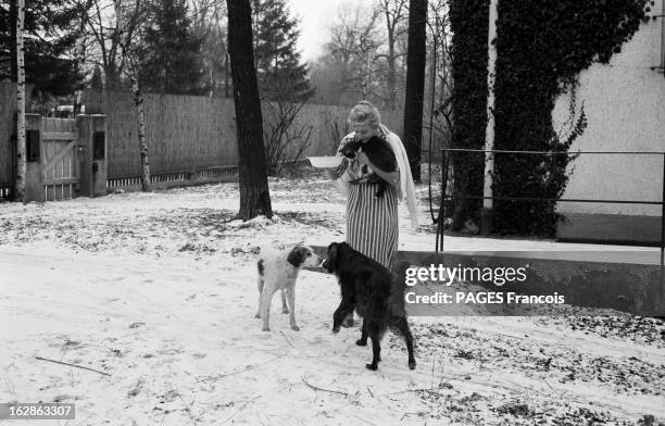 Maria Schell At Home In Munich. Munich, janvier 1958. L'actrice allemande Maria SCHELL dans son jardin, avec le chat Dick Kopf dans les bras et...