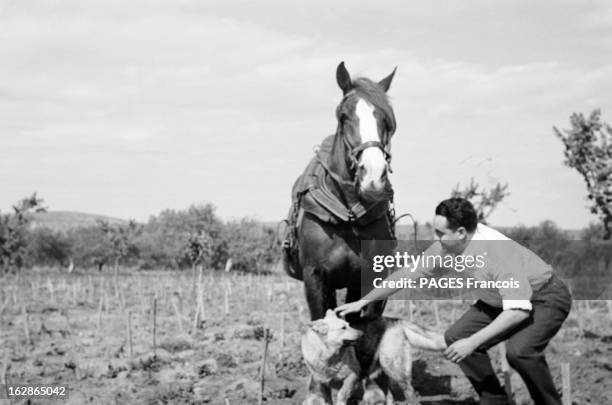 Rendezvous With Arthur Story. France, Salses-le-Château, 15 mai 1957, Arthur CONTE est un homme politique, un écrivain et un historien français....