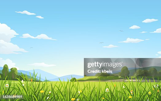 Green Meadow Green Meadow