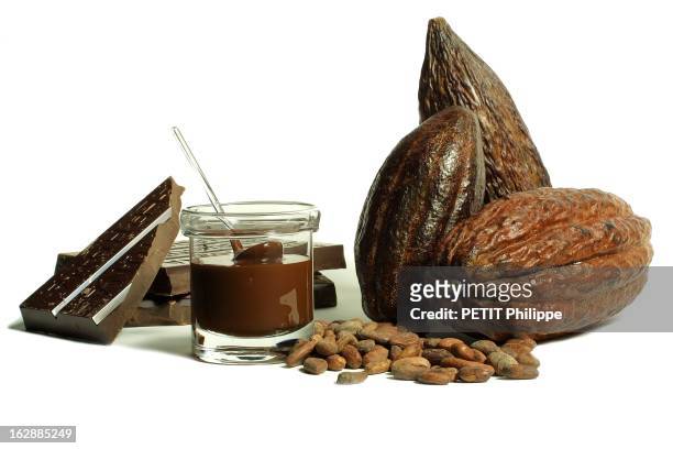 Chocolate. Le chocolat : chocolat liquide - fèves de cacao - cabosses - tablettes.