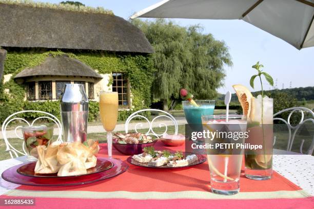 Summer Cocktails. Cocktails et bouchées : Lou Provenco, petites briques au chèvre et à la menthe, Bellini, Gambas au gingembre, petits sandwiches au...