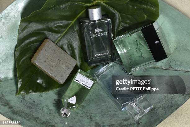 Perfumes For Men. Les parfums pour hommes : le naturel : flacons de parfum COLOGNE de Thierry MUGLER, LACOSTE POUR HOMME, TRUTH MEN de Calvin KLEIN...