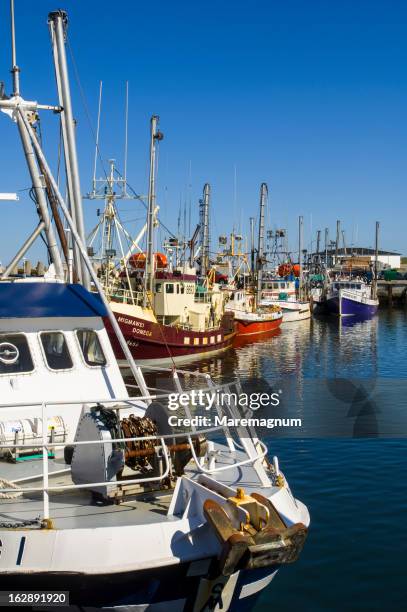 rivière-au-renard, fishing port - gaspe peninsula stock pictures, royalty-free photos & images
