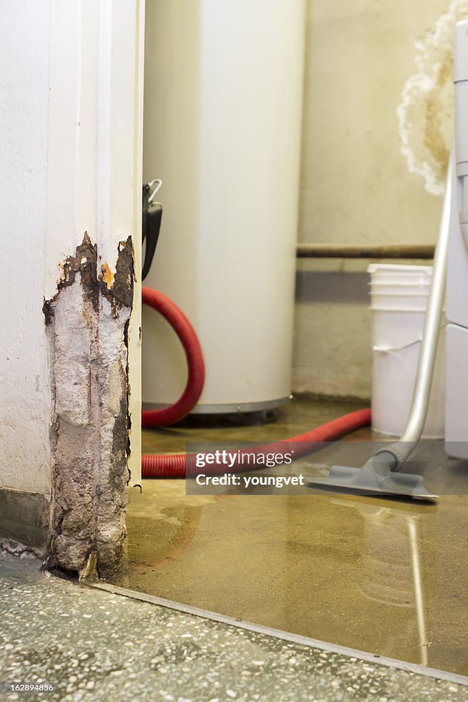 Water damaged basement