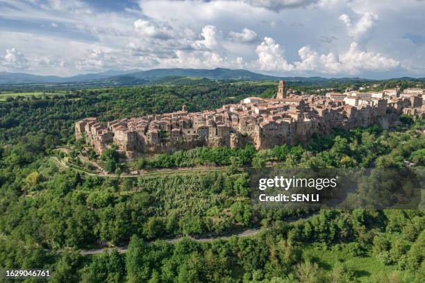 aerial view of italian medieval city, pitigliano in the province of grosseto in southern tuscany, italy - grosseto stock-fotos und bilder