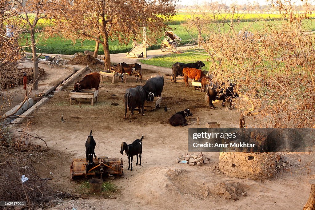 Pakistan Rural Side Rural Punjab Village Pakistan High-Res Stock Photo - Getty Images