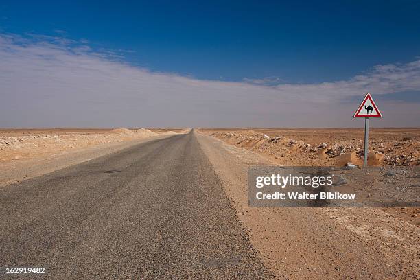 ksar ghilane, tunisia, scenic view - ghilane stock pictures, royalty-free photos & images