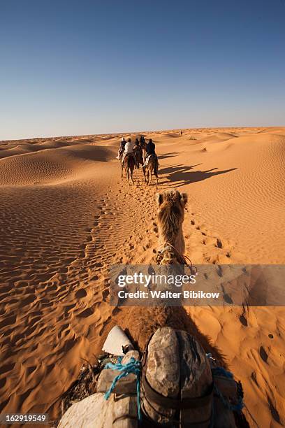 ksar ghilane, tunisia, village detail - ghilane stock pictures, royalty-free photos & images