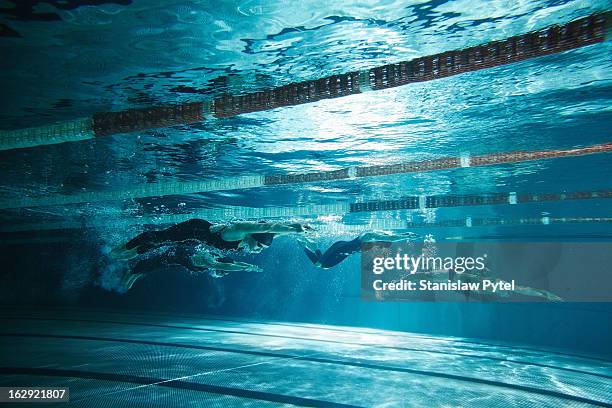 four swimmers underwater on swimming pool - sportlichkeit stock-fotos und bilder