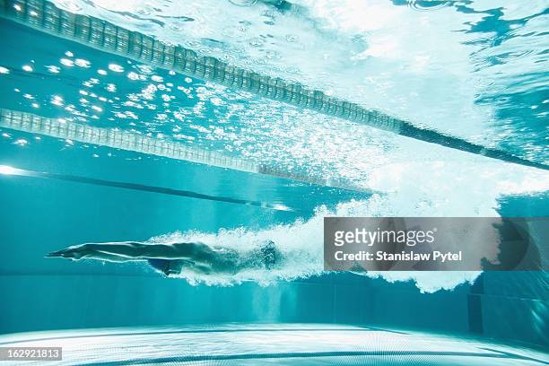 swimmer underwater after the jump - swimming stock-fotos und bilder