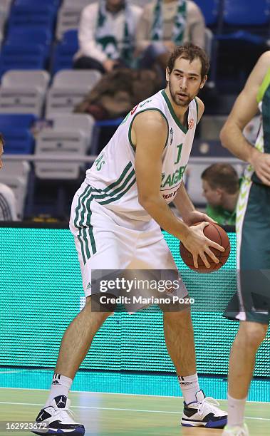 Mario Delas, #17 of Zalgiris Kaunas in action during the 2012-2013 Turkish Airlines Euroleague Top 16 Date 9 between Unicaja Malaga v Zalgiris Kaunas...