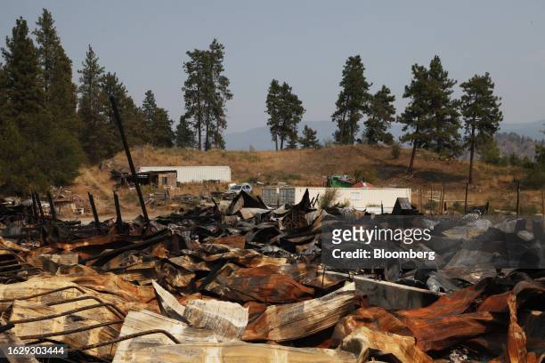Burned farm during the McDougall Creek wildfire in Kelowna, British Columbia, Canada, on Sunday, Aug. 27, 2023. British Columbia is experiencing the...