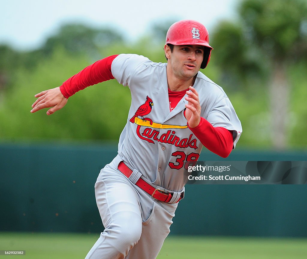 St. Louis Cardinals v Houston Astros