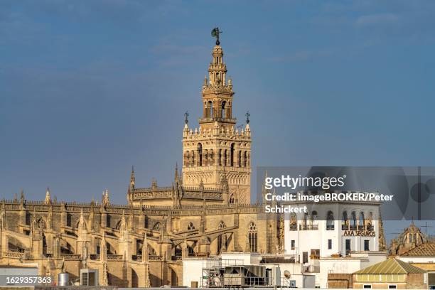 cathedral of santa maria de la sede in seville, andalusia, spain - provincia de sevilla stock pictures, royalty-free photos & images
