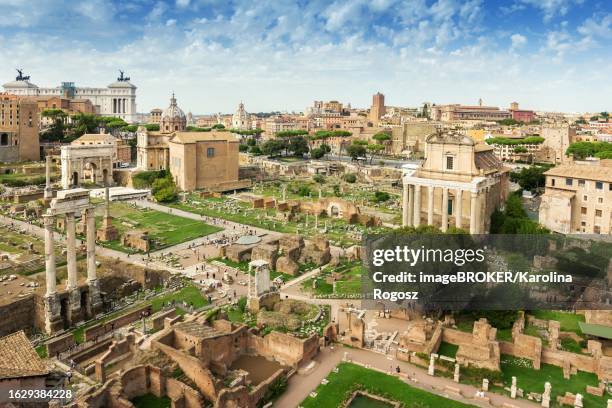 the ruins of the roman forum, rome, italy - archeologia foto e immagini stock