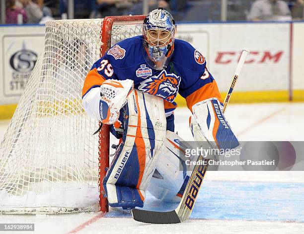Rick DiPietro of the Bridgeport Sound Tigers looks on as he tends goal against the Connecticut Whale during an American Hockey League game on March...