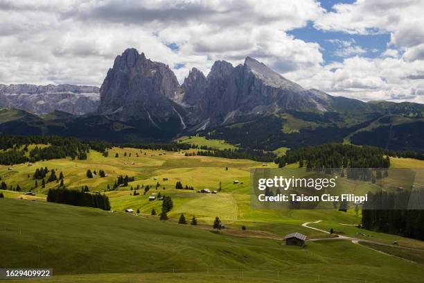 alpe di siusi - gaia filippi stock pictures, royalty-free photos & images