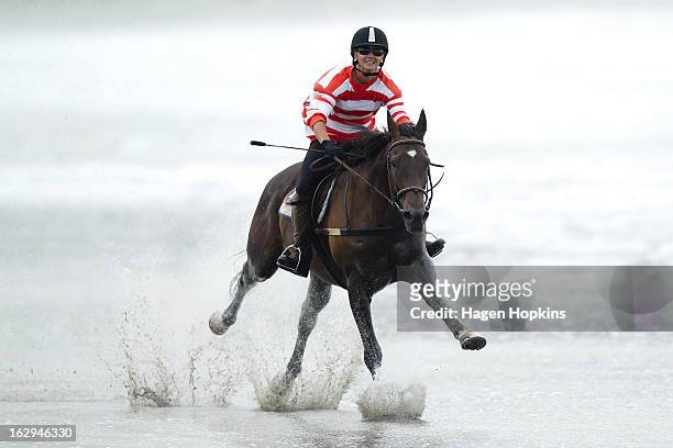 Cody is ridden through the water in the Wairarapa Station Hack Race during the Castlepoint Beach Races at Castlepoint Beach on March 2, 2013 in...