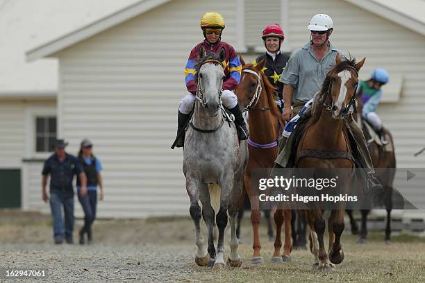 Horses make their way from the stables to the beach during the Castlepoint Beach Races at Castlepoint Beach on March 2, 2013 in Masterton, New...