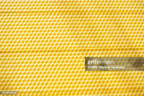 honeycombs with a frame for bees without honey. beekeeping. apiary. eco product. hive. - bee stock illustrations stock pictures, royalty-free photos & images