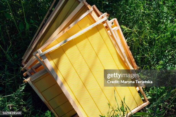 honeycombs with a frame for bees without honey. beekeeping. apiary. eco product. hive. - bee stock illustrations stock pictures, royalty-free photos & images